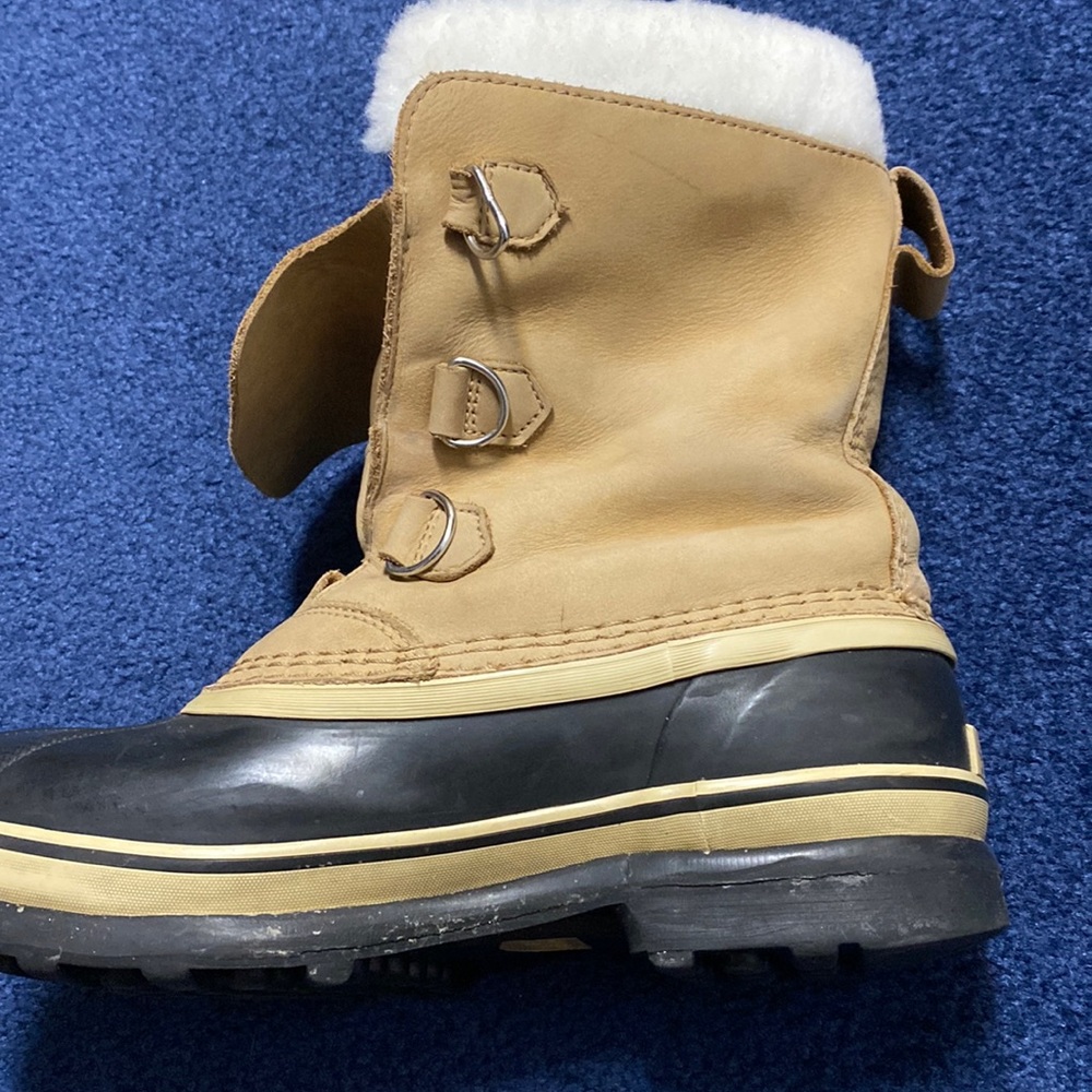 Sorel caribou